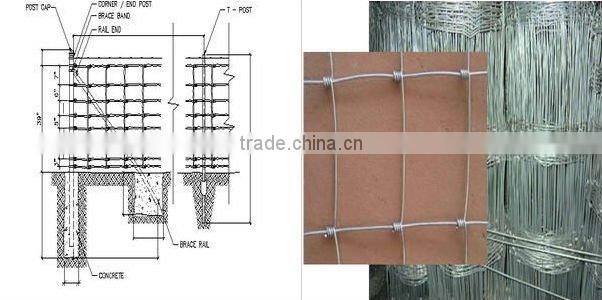 High Quality Animal Field Fence