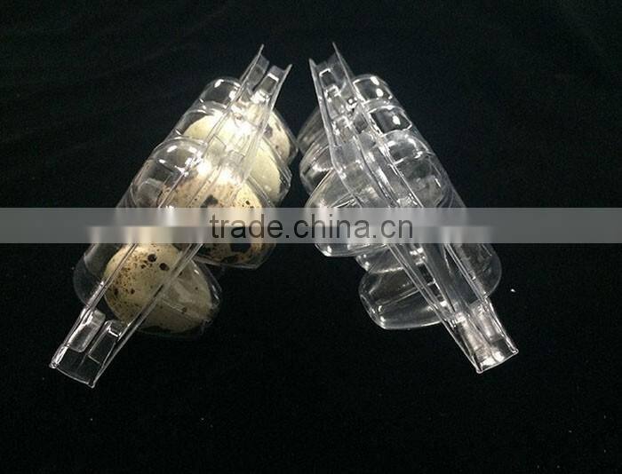 OUCHEN wholesale high quality plastic quail egg cartons tray packaging 12 18 20 24 30 holes for sale