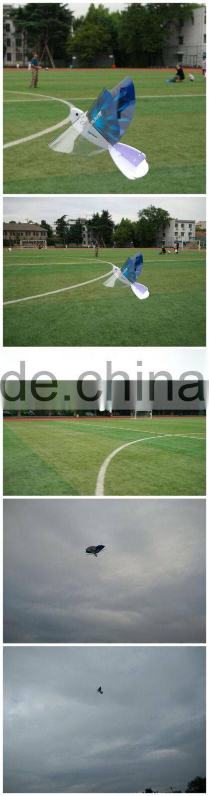 Diy E-Bird Make your own flying bird toy creativity toy electric bird for kids