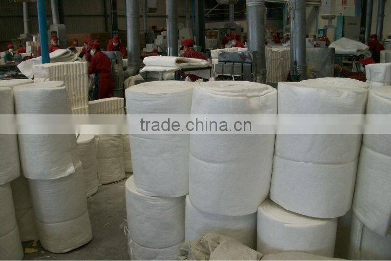 ceramic fiber Module (largest supplier in China)