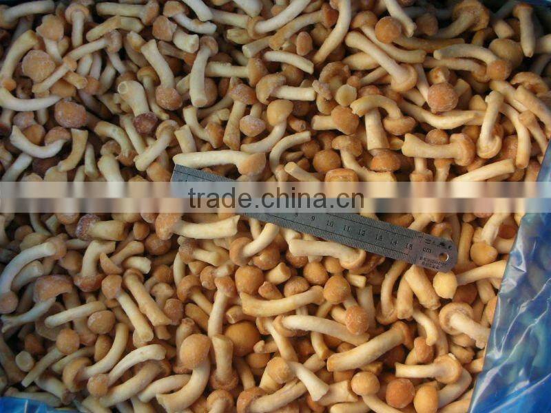 Supply Buy frozen nameko