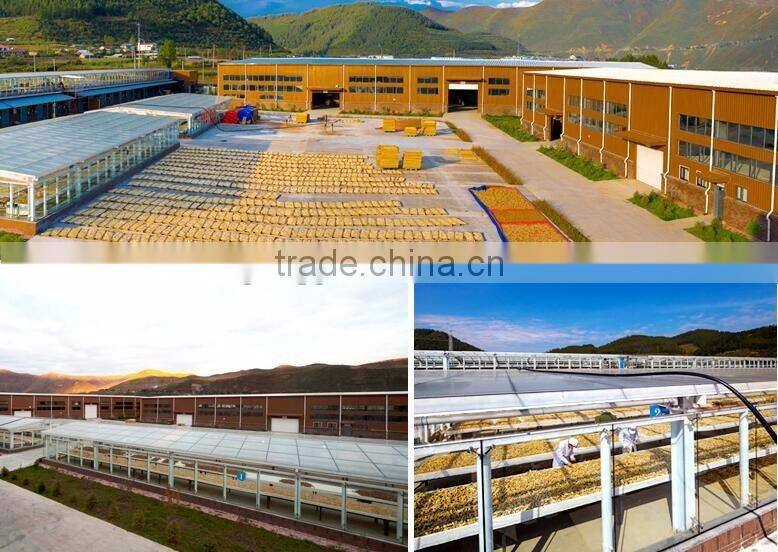 Health Care Products Korea Red Ginseng Slices