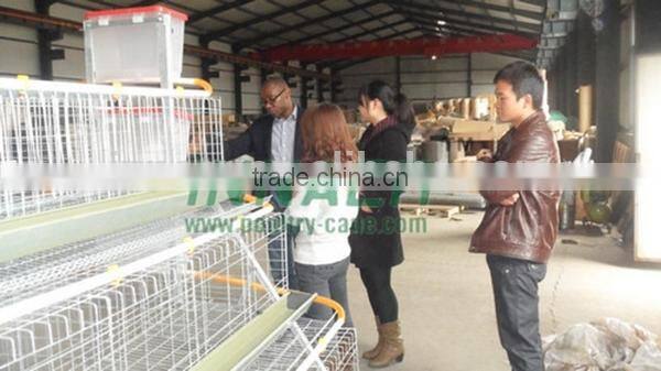 Poultry Farming Chicken Cage System