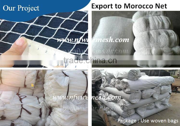 Hdpe net 25 x25 mm mesh hole agricultural bird netting (Guangzhou Factory)