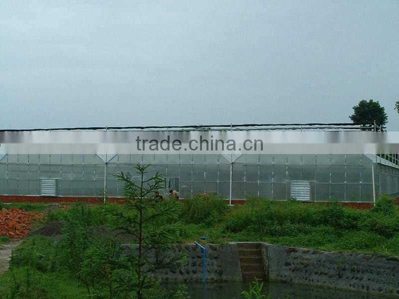 low cost Multifunction high quality greenhouse for plant vegetables