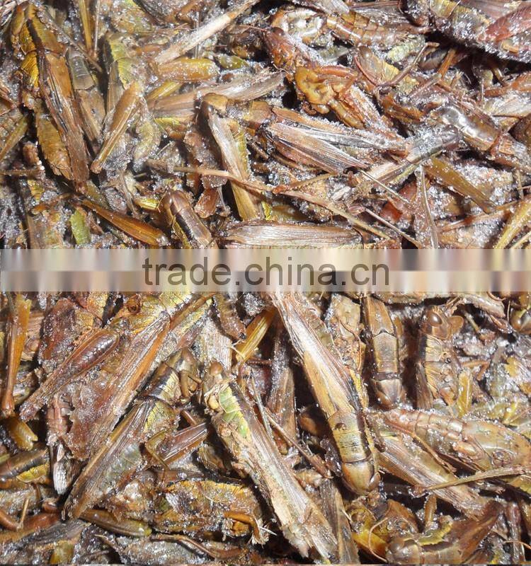 Organic Food Dried Locusts