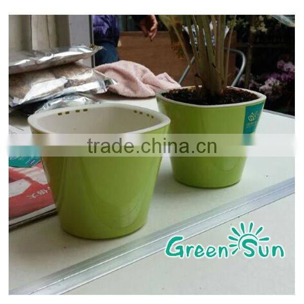 mini plant flowerpot