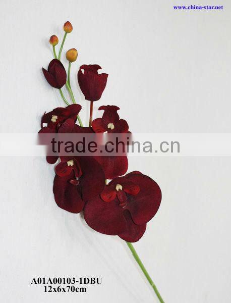 single orchid for christmas