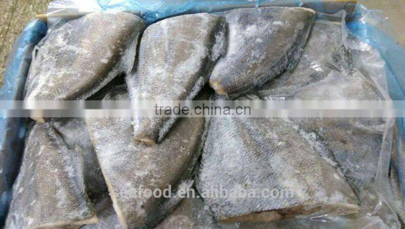 Frozen Seafood BRAMA Brama FILLET Frozen Fish