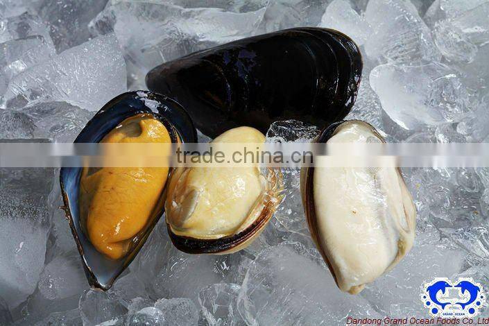 Frozen cooked half shell mussel