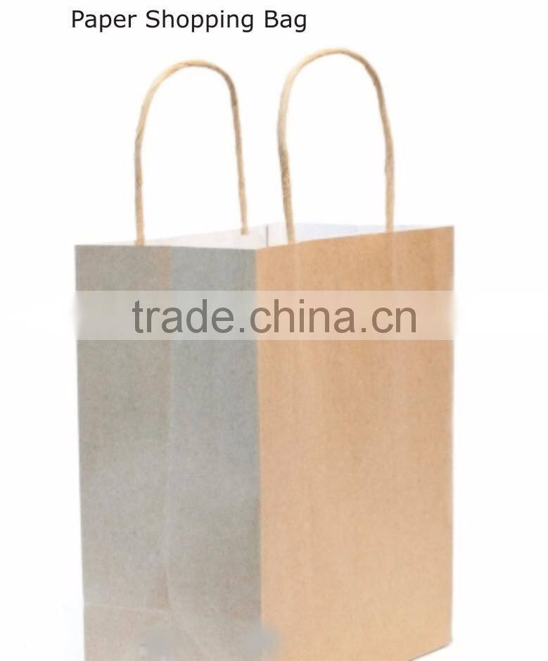 Kraft Paper Gift Bags with Twisted Paper Handles in Solid Colors