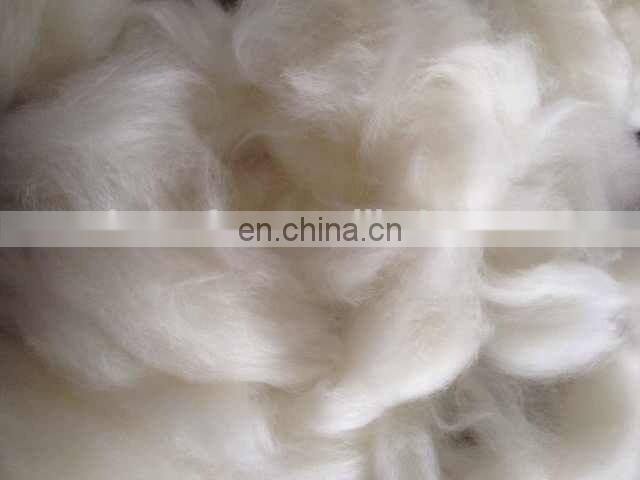 sheep wool open tops white for woolen spinning