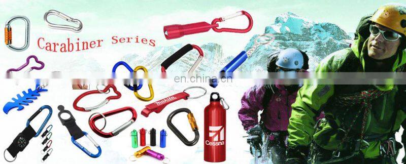 Winho promotional mini carabiner keychain