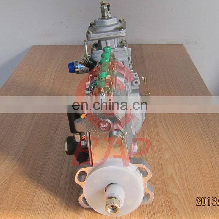 BYC Injection Pump 10400876072 10 400 876 072 for F6L913 Engine