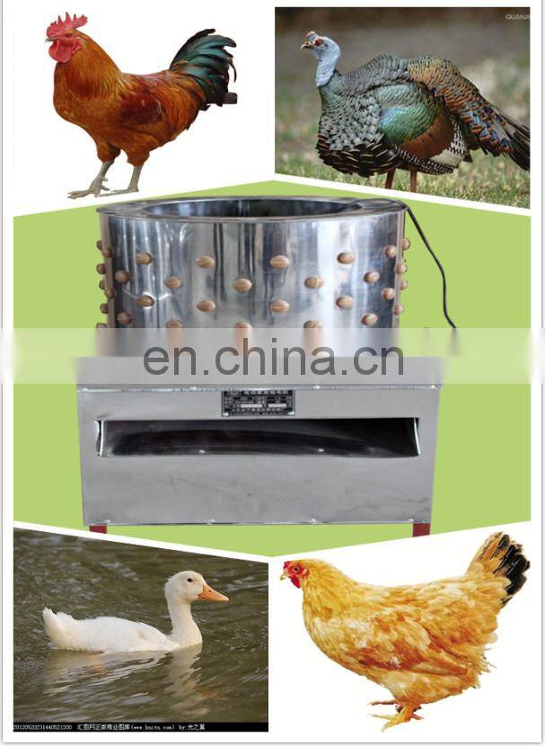 Chicken Feet Price Chicken Feather Cleaning Machine/Small Poultry Plucker