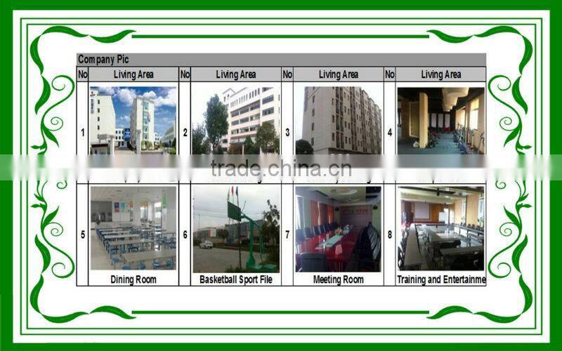 2015 Christmas gift exercise stepper with handlebar