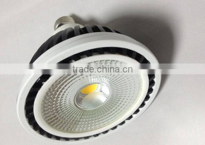 2000lm COB PAR38 LED PAR38