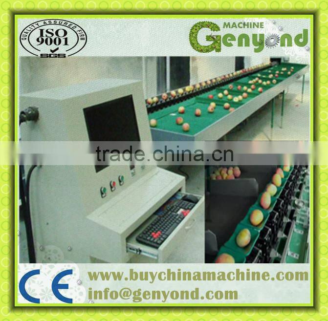 stainless steel small fruit weight sizing machine