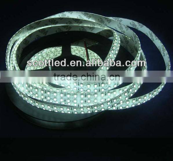 2 Row 240leds/m Cold White Waterproof Outdoor 3528 Led Strip For Building Decoration