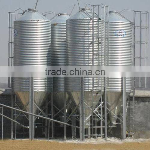 automatic chicken feeding system