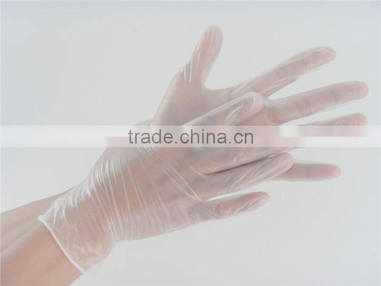 Househole disposable transparent vinyl gloves in factory cheap price wholesale