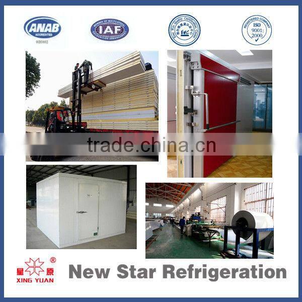 Sandwich pu panels b2 fire retadant