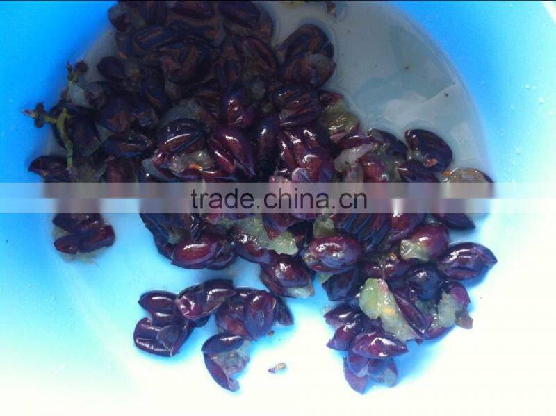grape peeling small machine for family by hand & grape crushing machine