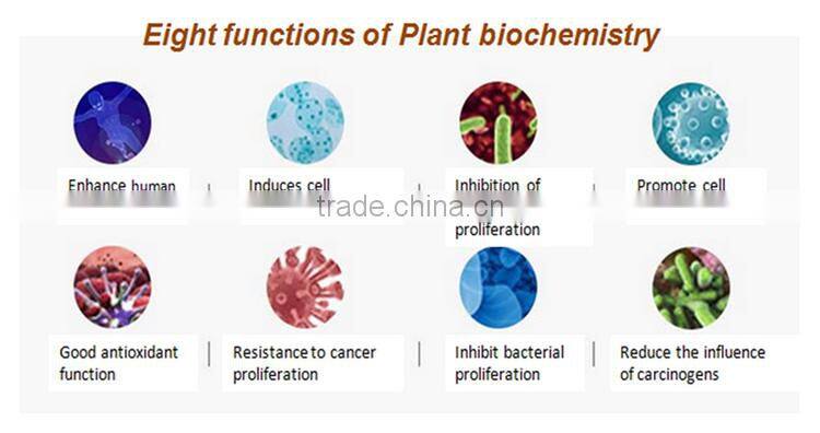 High quality online shopping 2200w electric blenders/ juicer blender/ mixer blender home appliance