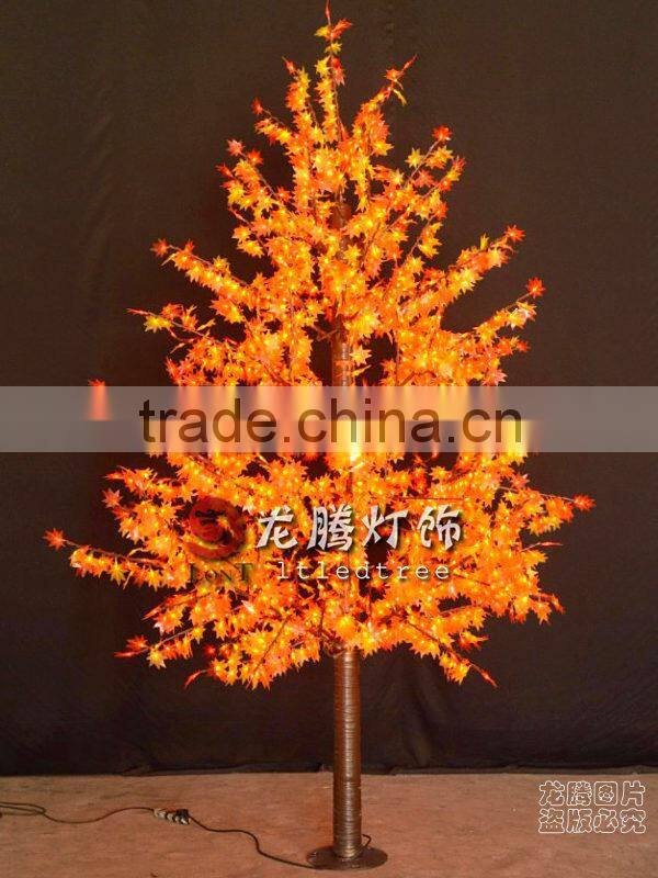 Led Maple tree yellow leaf