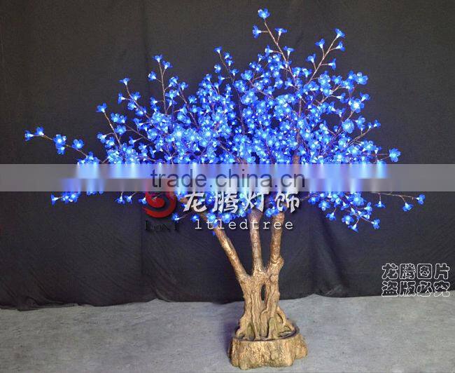 cherry blossom bonsai tree