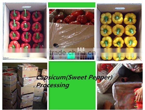 red capsicum