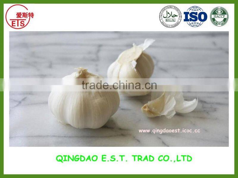 Good quality 425g/tin canned mackerel in tomato sauce