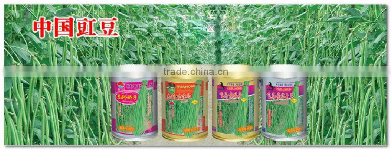 High quality red long bean seeds cowpea seeds for cultivation-Chun qiu 22