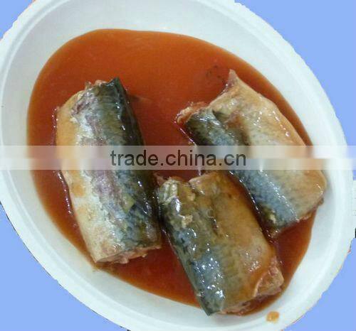 Chinese canned mackerel tin fish offer