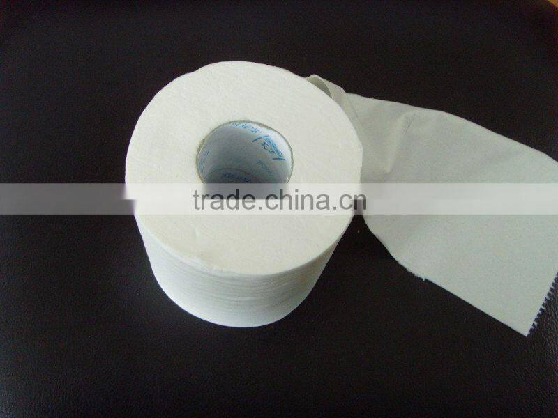 toilet paper and tissue in roll