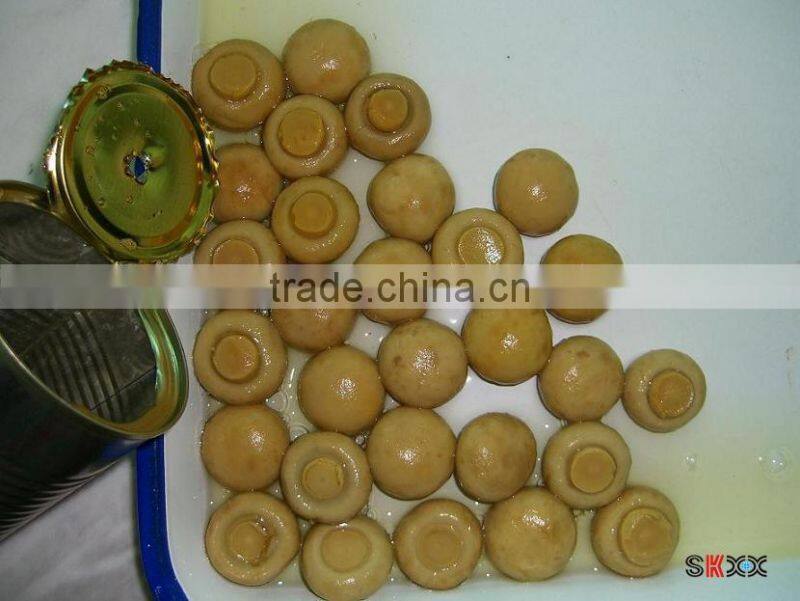 brine meter light yellow mushroom slices brine champignon mushroom high quality champignon mushrooms brine salted boiled in bag