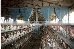 Poultry Cages for Feeding