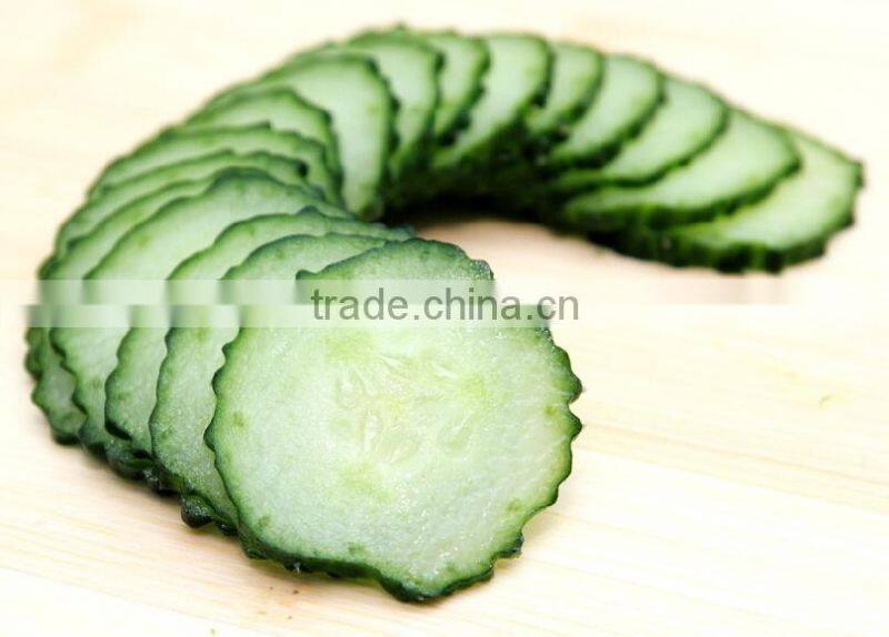 stainless steel industrial fruit vegetable processing industrial vegetable cutter +8618637188608