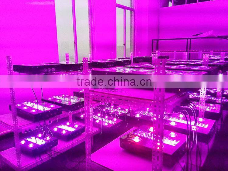 High power quality hydroponics LED Grow Lighting COB indoor growing light