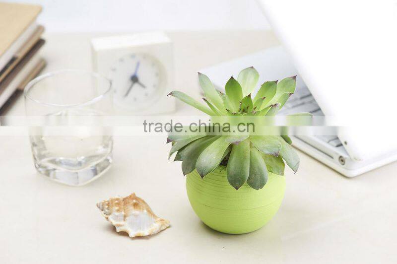 Mini Round Plastic Plant Flower Pot Home Office Decor Planter
