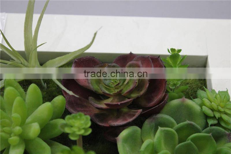 for home garden tiles deco 30*30*7cm paint color indoor artificial succlent boutique plant wall laminate combinations Ejq10 1201