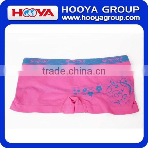 Seamless Panties Sexy Lady Sexy Nylon Panties