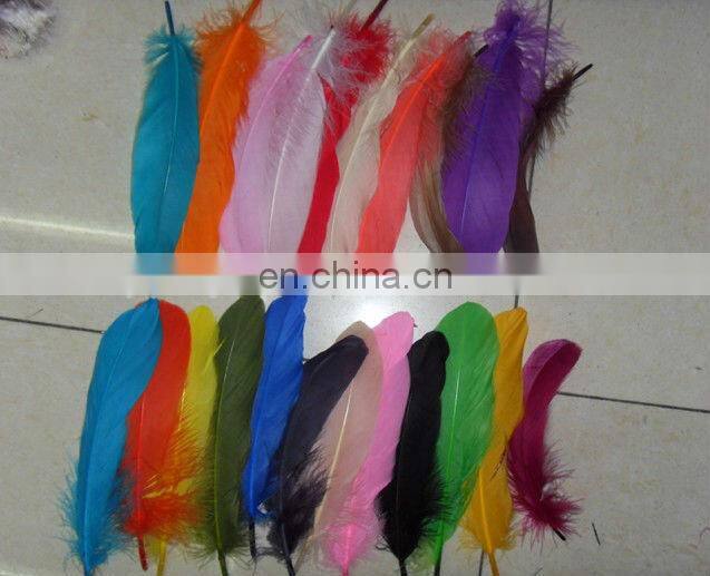 pheasant feather for decorate