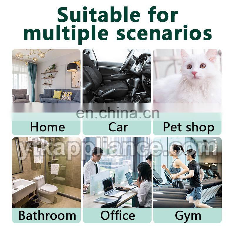 Wholesale Small Home 10g 20g 30g Air Car Portable Ozone Generator