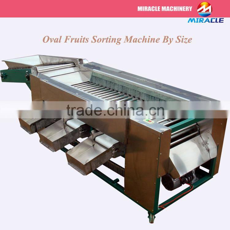 FRESH FRUIT AND VEGETABLE GRADING SORTER MACHINE PRICE