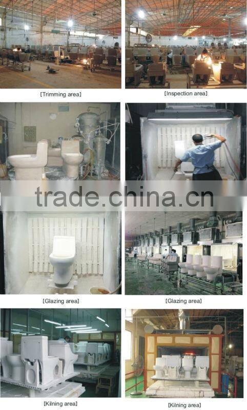 Dual flush vertical flushing 250mm toilet