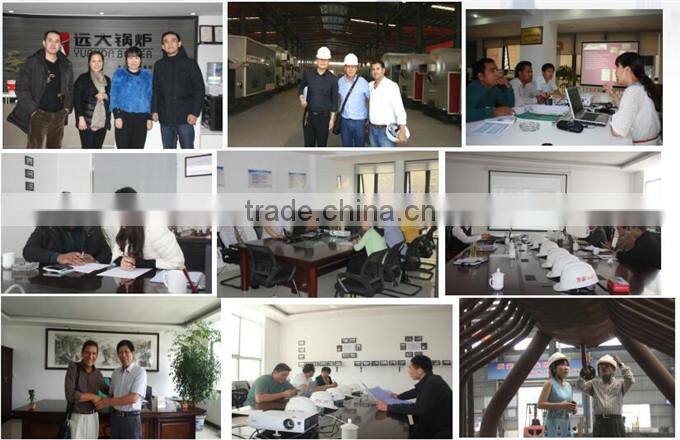 2016 high quality DZH series 2000kg/h wood burning boilers