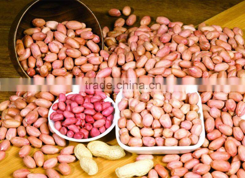 groundnut