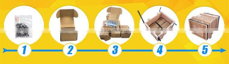 Gr5 titanium screw DIN912/DIN6921 for bicycle and motorcycle