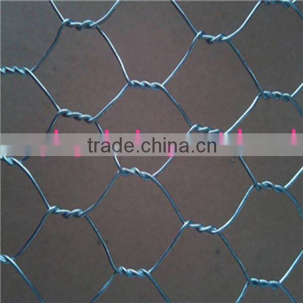 galvanized hexagonal gabion wire mesh/gabion protective mesh/gabion mesh roll